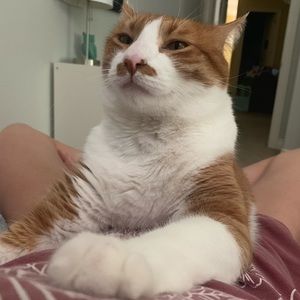 Meet your Posher, Maddie